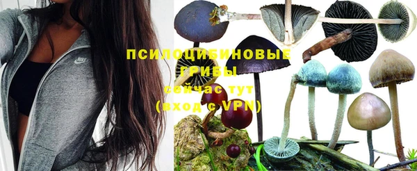 MDMA Premium VHQ Майский