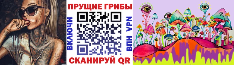 закладки Нариманов Галлюциногенные грибы MAGIC MUSHROOMS